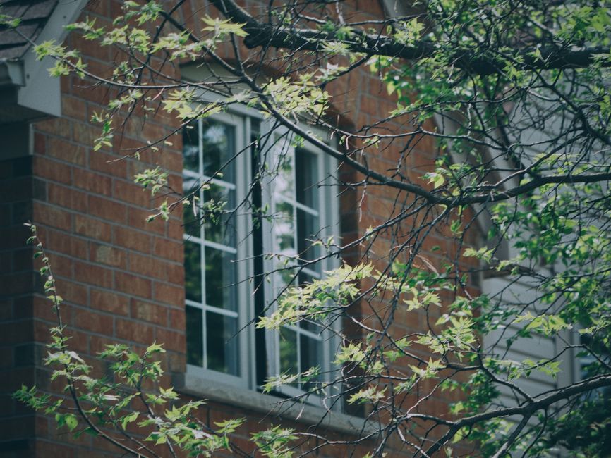Multi-pane window in a red brick wall seen through leafy tree branches