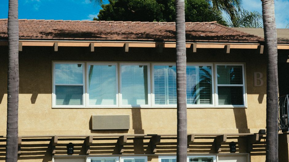 Row of five white framed windows on a tan stucco wall between palm trunks